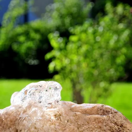 Gasthof Neumayr 게스트하우스